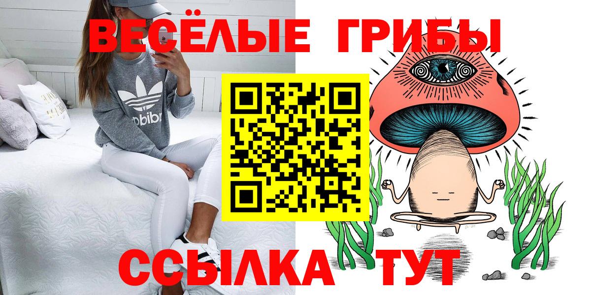 Галлюциногенные грибы GOLDEN TEACHER  Галлюциногенные грибы GOLDEN TEACHER  Печора  Вход с VPN 