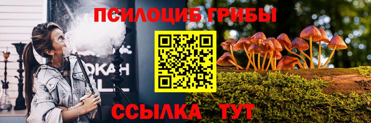 Галлюциногенные грибы GOLDEN TEACHER Печора